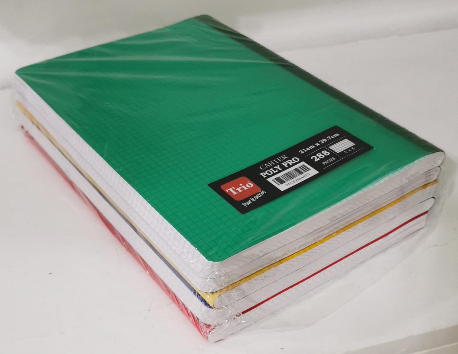 Cahier Etudiant polypro 300 pages